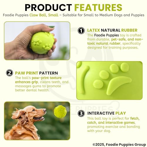 Image of Foodie Puppies Latex Rubber Squeaky Dog Chew Ball Toy - (Claw Ball, Small) Durable and Safe Fetch Teething Dog Toy for Puppies and Small to Medium Dogs, Paw Design Helps to Clean Teeth (Diameter, 6cm)