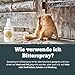Sensipharm Bitterspray 100ml - Bittertropfen ohne Alkohol für Hunde und Katzen, Anti-Kau und Lecken Spray, Katzen Fernhaltespray Hunde für Möbel, Abwehrspray für Haustiere mit Bitteren Geschmack
