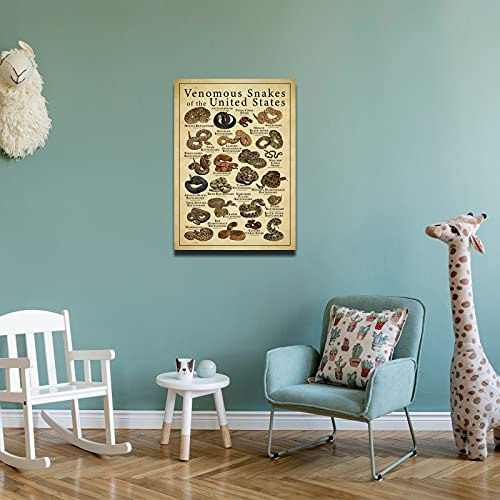Snakes Identification Poster Knowledge Modern Giclee Canvas Art Picture Vintage Photos Canvas Paintings Poster Wall Decor For Home Decor Artwork Framed 12X18 Inch(30X45Cm) #TOP1