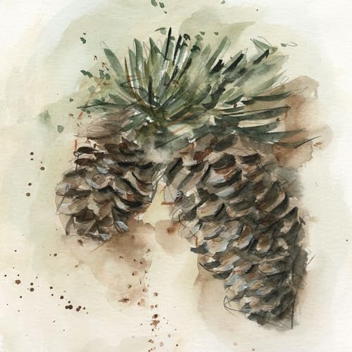 Watercolor Pinecone Study I Poster Print - Ethan Harper (24 x 24)