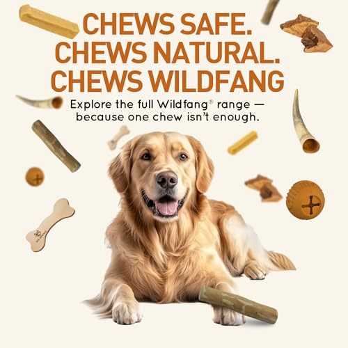 Wildfang® Kaffeeholz für Hunde – natürliches, unzerstörbares Kauspielzeug aus Kauholz für Aggressive Kauer & Welpen im Zahnwechsel, Zahnpflege Spielzeug Hund, Größe XXS (unter 5 kg)