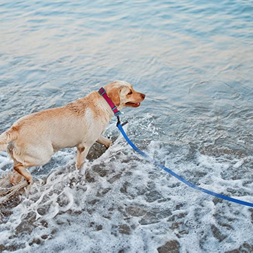 Wolfone Schleppleine für Hunde,15m Blau wasserdichte Lange Rückruf Hundeleine mit Anti-Rutsch-Griff, Heavy Duty robuste Ausbildung Hundeleine für Outdoor-Aktivitäten