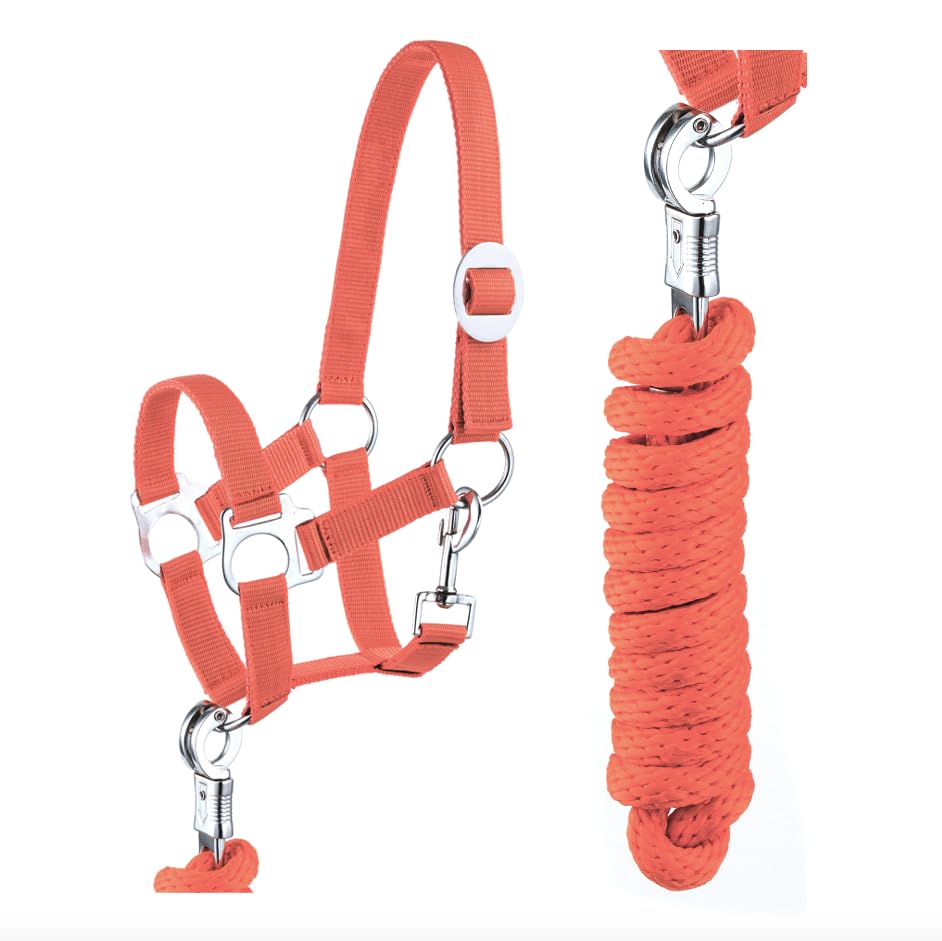 Cabestro juego de cuerda guía con mosquetón ajustable, cabestro para caballo, caballo de madera (gancho de pánico, naranja, pony)