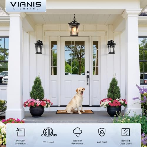 Image of VIANIS Large Outdoor Pendant Light with Adjustable Chain, Black(Gold Trim)