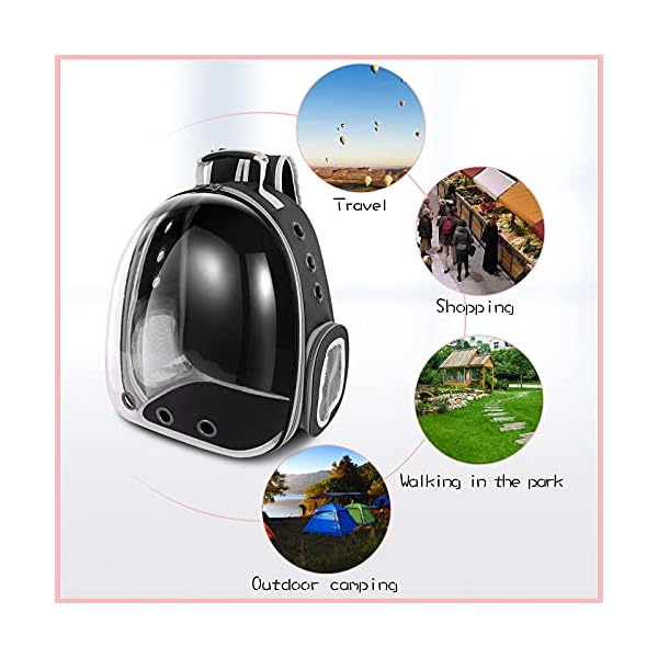 Cat-Backpack-Carrier-Airline-Approved-Pet-Carrier-Backpack-for-Traveling-Hiking-Outdoor-Pet-Backpack-or-Cat-Bag-Carrier-Cat-Carrier-Backpacks-Black Cat Backpack Carrier - Airline Approved for Traveling, Hiking, and Outdoor Adventures