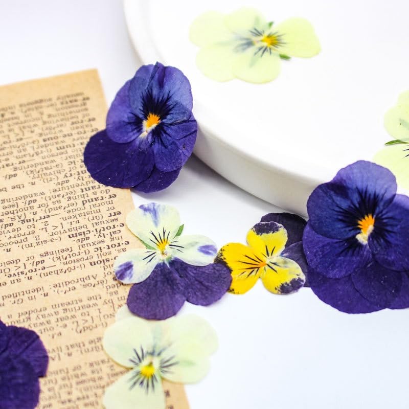 48 flores comestibles prensadas naturales para manualidades miniatura 6