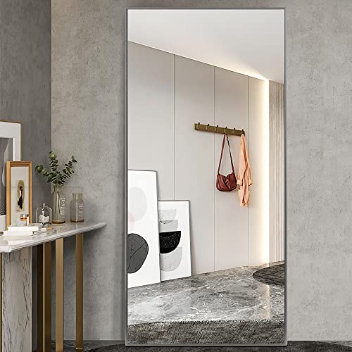 Image of NeuType Full Length Mirror Floor Mirror Dressing Mirror Home Gym Mirror,Large Wall Mirror Bathroom Mirror Standing Mirror,Long Mirrors for Bedroom,Metal Frame,Sand Gray,71 inchx24 inch,No Stand