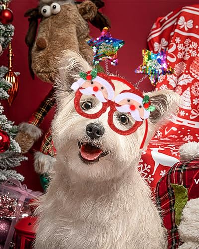 SOBEAU 14 Stück Brillen Haarreif Weihnachten,Weihnachtsbrillen Partybrillen Spassbrillen Weihnachten Rentier Kostüm Stirnbänder Tannenbaum & Weihnachtsmann Kopfbedeckung