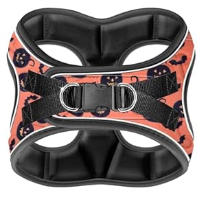 Halloween Dog Harness – Comfort Puppy Harness Dog Vest: Adjustable, Soft Padded for Small, Medium Dogs- Easy Put-on Dog Harness Medium Sized Trick-or-Treat Adventures