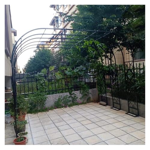 Structure de support de pelouse de jardin avec arche de treillis en métal solide