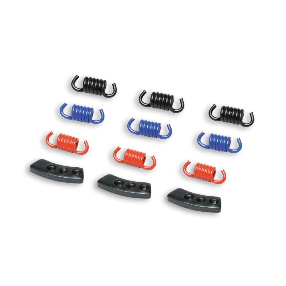 MALOSSI 298747 Serie molle MHR per frizione