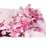 Paper Spiritz Pop Up Cherry Blossoms Birthday Card, 3D Flower Bouquet Popup Card with Note Card and
