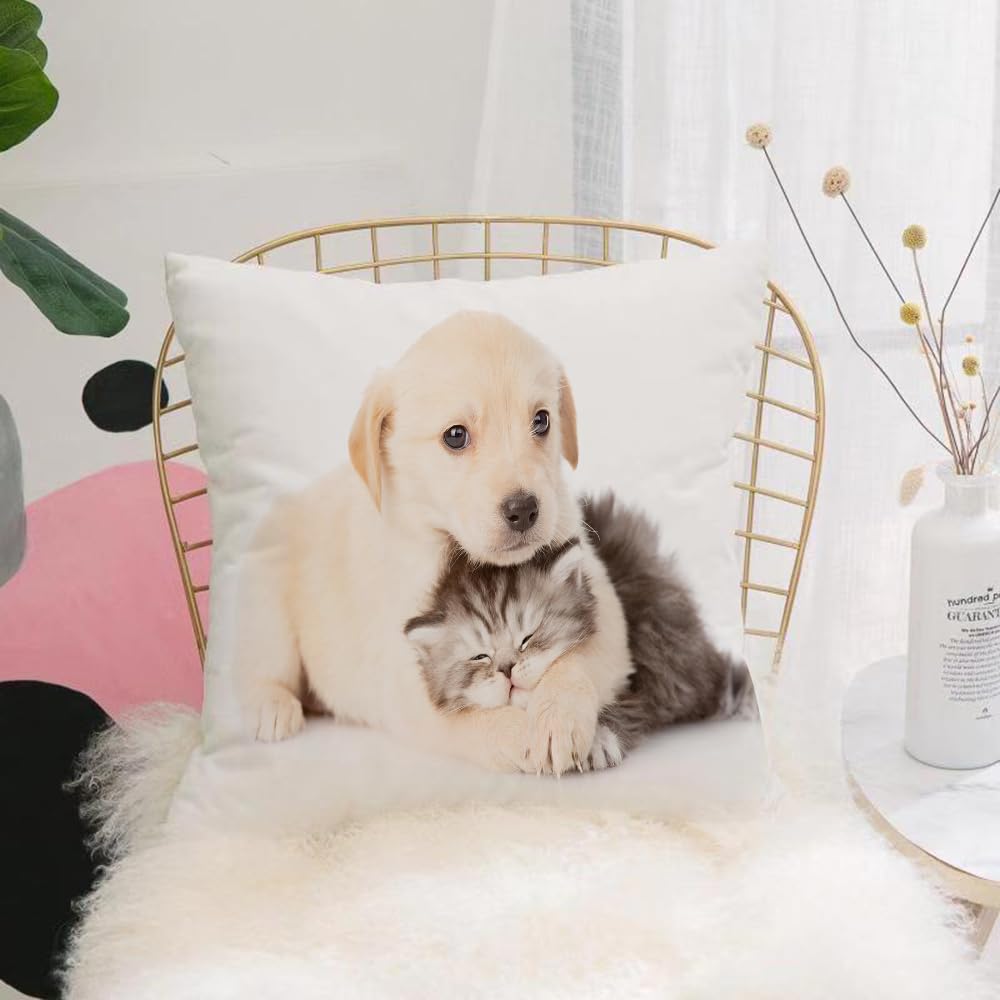HYOSXW Cushion Cover,Throw Pillow Case Home Decorative for Living Room Bedroom Sofa Chair 16X16 Inch,golden retriever puppy dog hugging british cat.,Pillowcase 40X40cm