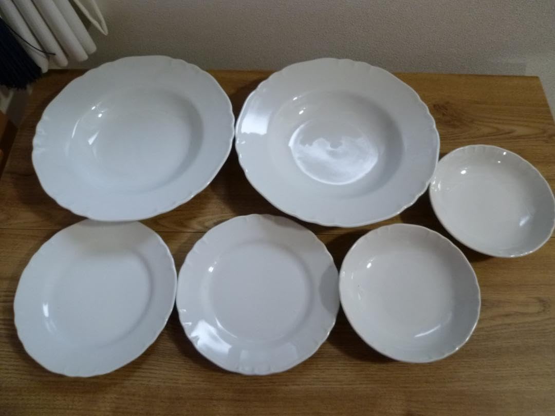 リチャードジノリ トンディフォンディ パスタプレートセット リチャードジノリ トンディフォンディ パスタプレートセット