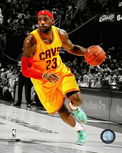 LeBron James 2014-15 Spotlight Action Photo 8 x 10in