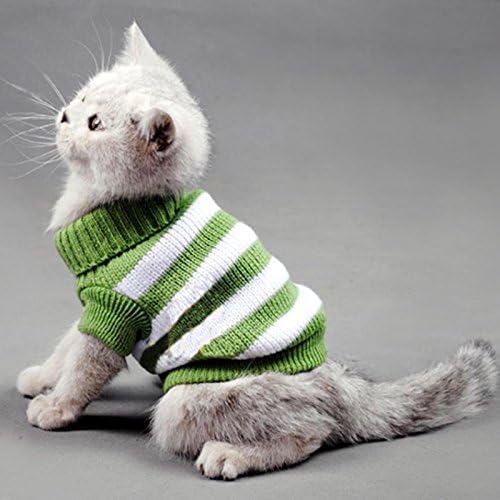 pullover cats