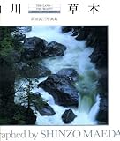 This Land... This Beauty