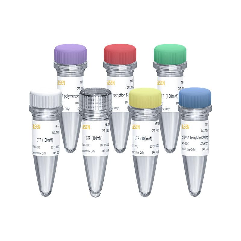 T7 High Yield RNA Synthesis Kit, 10T
