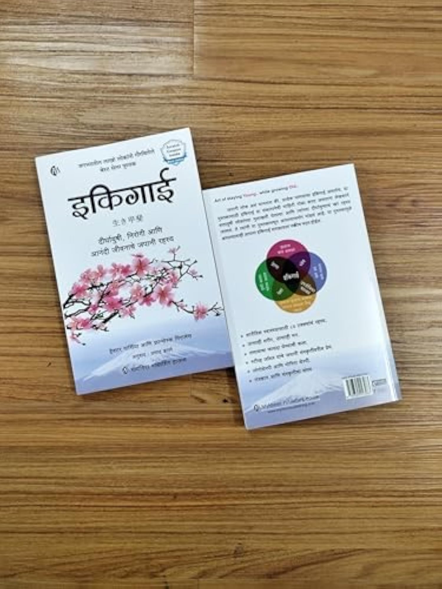 Ikigai (Marathi)