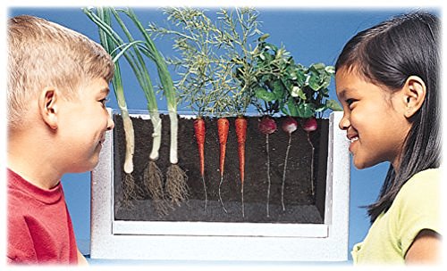 HSP Nature Toys Root-Vue Farm Multicolor, 16 Inch