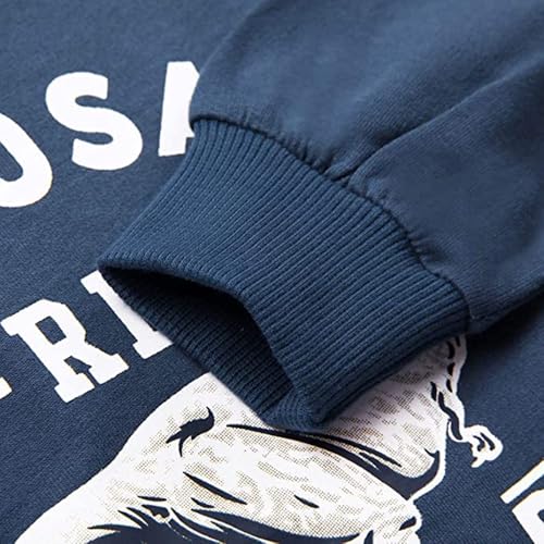 Image of Popshion Toddler Boys Sweatshirts Dinosaur Long Sleeve Pullover Crewneck Shirts Cartoon Tee Sport Tops for Kids 1-8T
