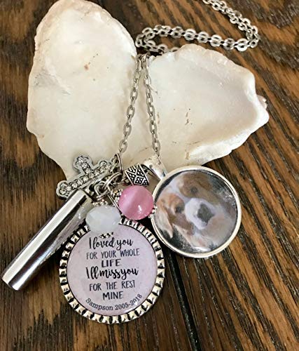 dog ashes necklace amazon