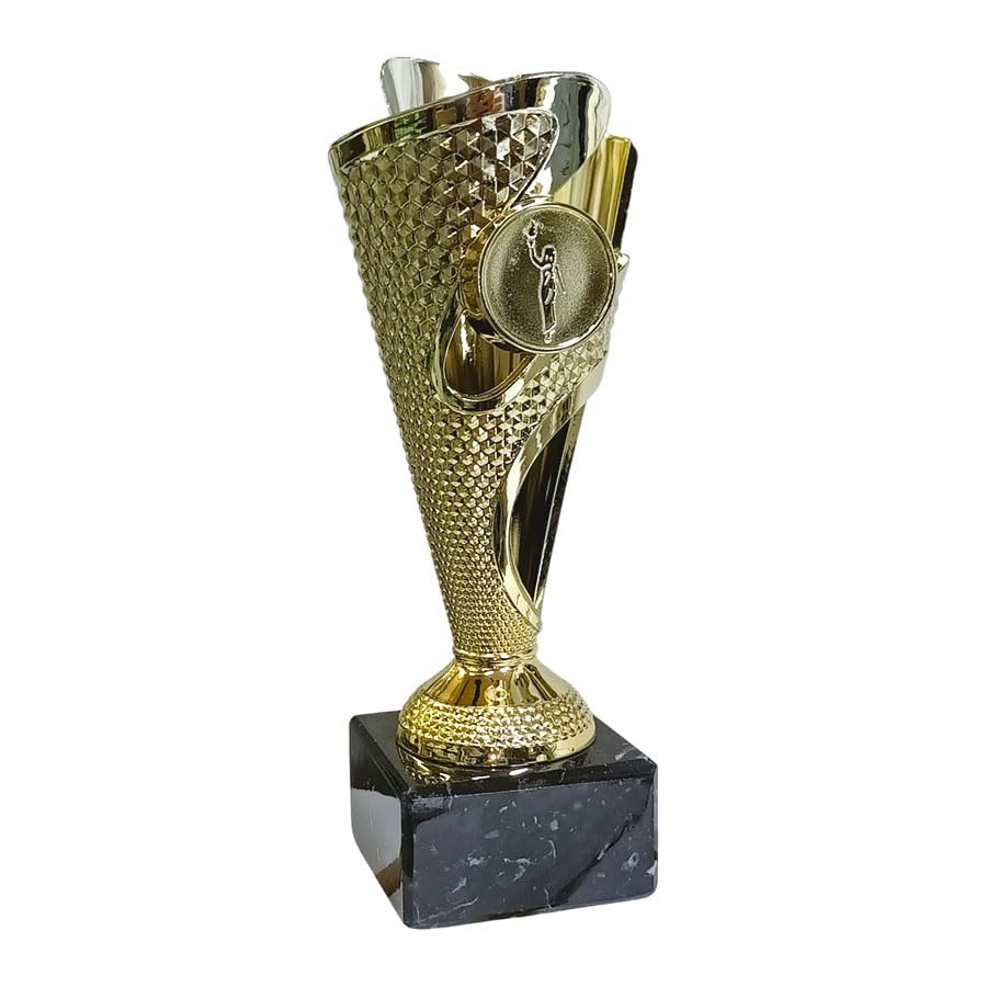 Targhetta personalizzata Coppa dorata 17,50 cm