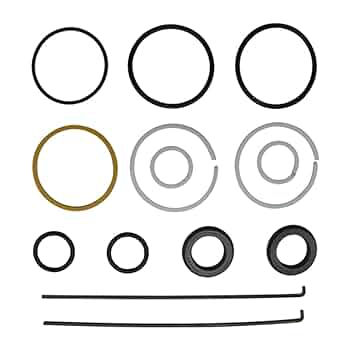 Amazon.com: 55355C91 Tractor Steering Cylinder Seal Kit for