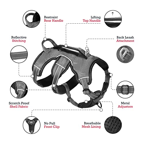 Tuff Pupper Escape Proof No Escape Dog Harness | 5 Point Adjustable Fit Harness for Dogs | Padded Dog Harnesses | Handle Dog Lift Harnesses