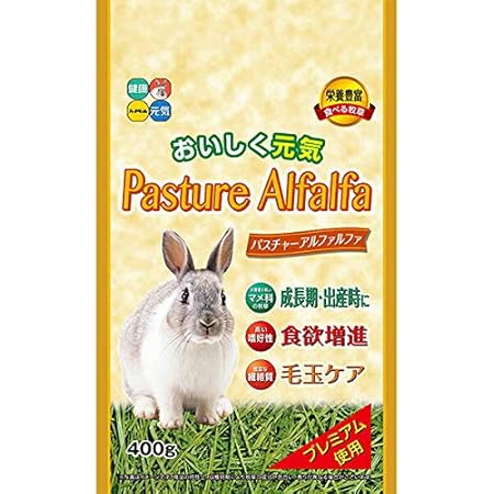 配送員設置送料無料 まとめ ハイペット 新パスチャーアルファルファ 400g 猫用 フード ペット用品 12 セット 国内配送 Www Msmits Nl