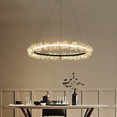 LXSEHN LED Modern Simple Iron Art Ring Crystal Chandelier, Creative Bedroom Living Room Bar Counter Crystal Lamp Pendant Illumination Lamps Lanterns (Color : Warm light-80 cm) Cover
