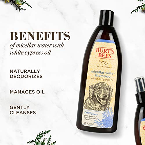 Burt's Bees For Pets Care Plus+ Natural Micellar Water Shampoo For Dogs | Dog Shampoo Naturally Cleanses And Balances Pet's Coat | Ph Balanced For Dogs - Made In Usa, 16 Ounces #TOP3