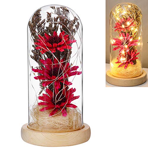 Warmiehomy Campana de Vidrio Decoracion, Kit de Flores Artificiales en la Cúpula...