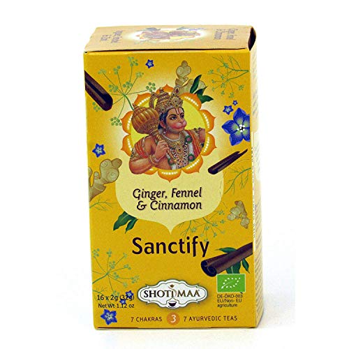 Shoti Maa Chakra Vitalité 16 Enveloppes Cover