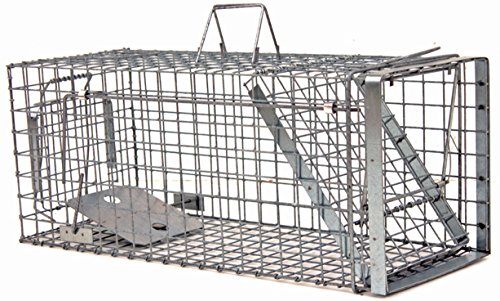 Holtaz Hardy. Super Fort Cage Piège De Capture pour: Martres, Chats, Chiens, Loutres, Castors, Renards, Ratons Laveurs, Dimensions: 80x34x34 cm, avec Appât pour Piégeage Cover