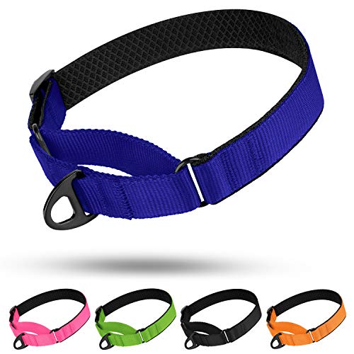 BRONZEDOG Collier martingale en nylon doux, rembourré et durable pour chien de petite, moyenne et grande taille, noir, orange, bleu, vert, rose (taille M, tour de cou 38,1 à 48,3 cm, bleu) Cover
