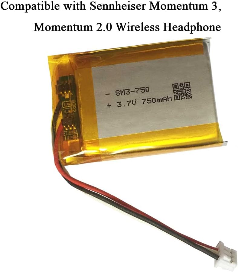 Momentum 2.0 Wireless Headphones 