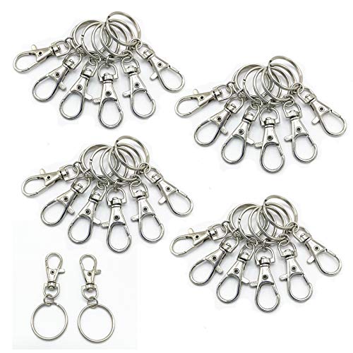 Preisvergleich Produktbild 40 Stück Schlüsselkette mit Abnehmbare Edelstahl Schlüsselringe, Kompakt und praktisch, Leicht zu tragen, Verwendet in Spielzeug, Taschen, Handtaschen, Kleidung, Accessoires, Schreibwaren