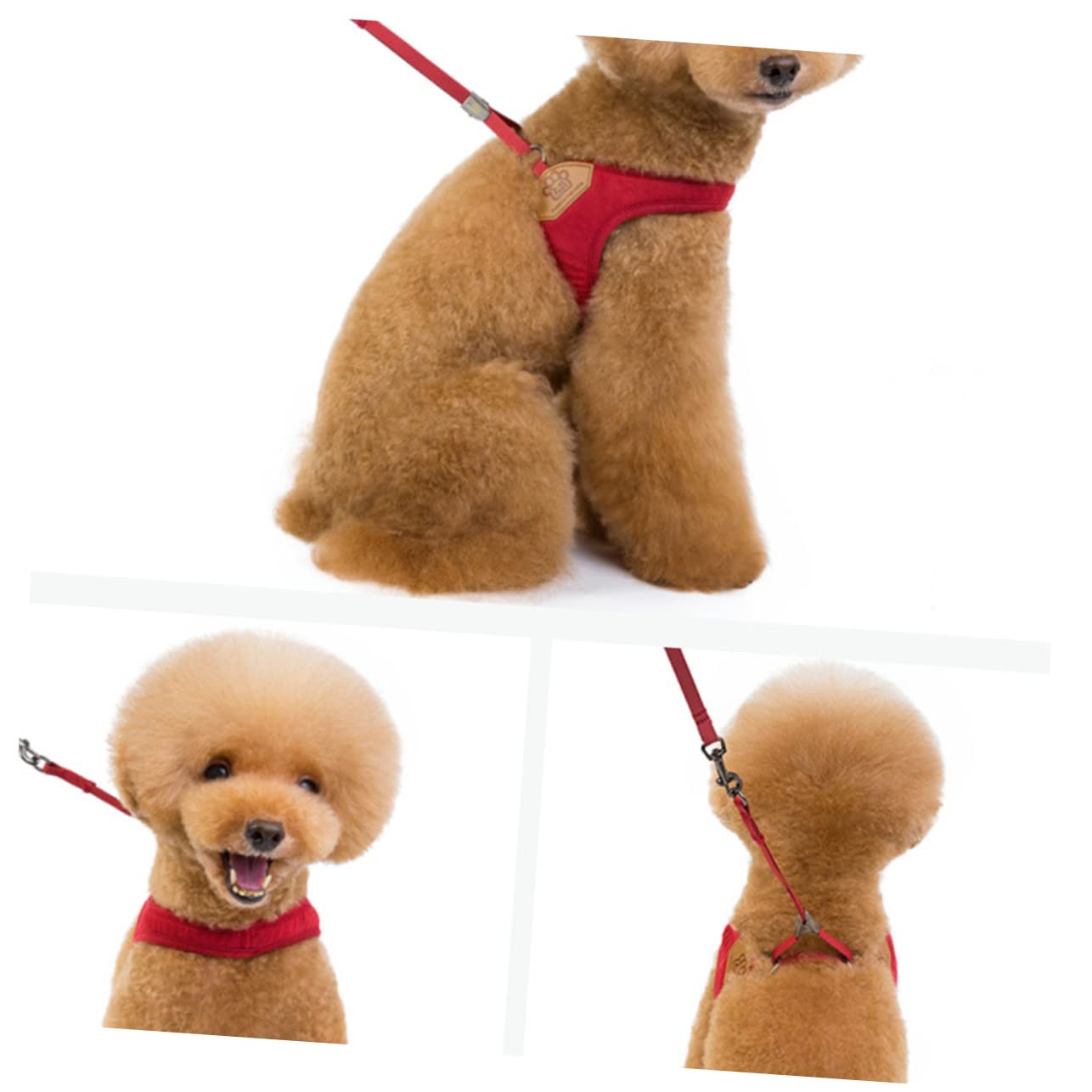 VANZACK 3piezas Arnés Dull Polish para Gatos y Perros Correa y Cómodo Color Rojo Oscuro para Paseos Seguros y Estilosos