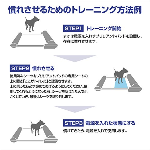 風水 犬で金運や仕事運もアップ トイレやケージの置き場に注意 フクさんの開運ブログ