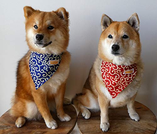 Kawaii-Shiba-Co-Karakusa-Japanese-Shiba-Inu-Dog-Bandana-with-Adjustable-Collar-Blue Kawaii Shiba Co Karakusa Japanese Shiba Inu Dog Bandana with Adjustable Collar Blue