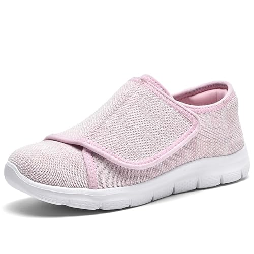 [@] V[Y fB[X nrC y Xb|   O ʋC (sN, {̌C̃TCY@, l, l, 24.0 cm)