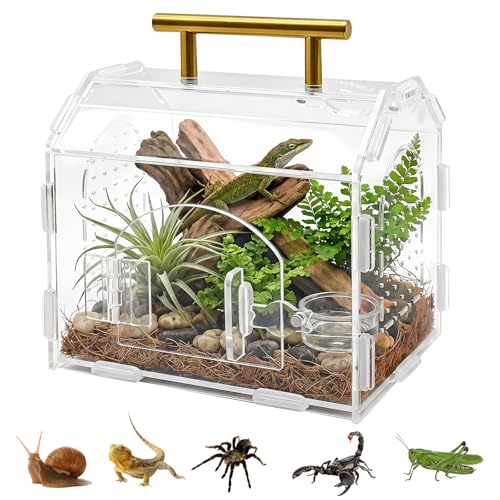 JNUYISW Terrarium für Reptilien aus Acryl Transparente Springspinnen-Gehäuse mit Belüftungslöchern und Griff Magnetisches Reptil Fütterungsbox für Schnecken Insekten Vogelspinnen Tarantel Gecko