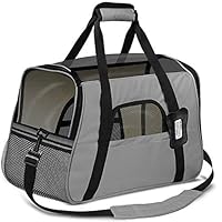 Algopix Similar Product 15 - Paws  Pals Airline Approved Pet