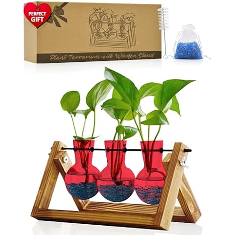 Nacome Plant Terrarium for Office Decor: Wooden Stand Tabletop Planter 3 Bulb Glass Vase Metal Swivel Holder for Hydroponics Home Garden Decor-Planter Lovers Birthday Gifts for Women Mom Grandma[Red] Cover