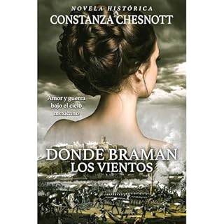 Donde braman los vientos Audiolibro Por Constanza Chesnott arte de portada