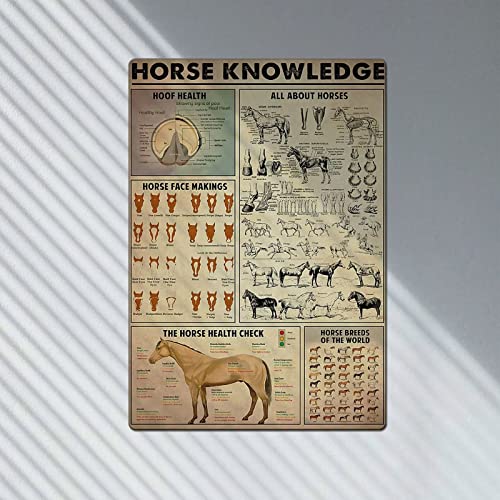 Febioaw Vintage Metal Tin Sign Infographic Plaque Animal Science Poster The Horse Knowledge For School Kitchen Decor Home Decor Kids Education Farm Restaurant Art Wall Decor 12X16 Inches #TOP1