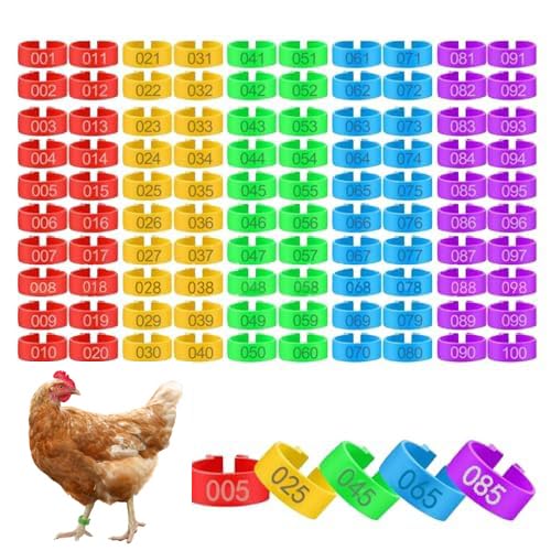 100 stuks 16 mm kippenpootringen met 5 kleuren genummerde kippenidentificatiebeenbanden, gevogeltebeenbanden clip-on beenringen voor kuikens eenden
