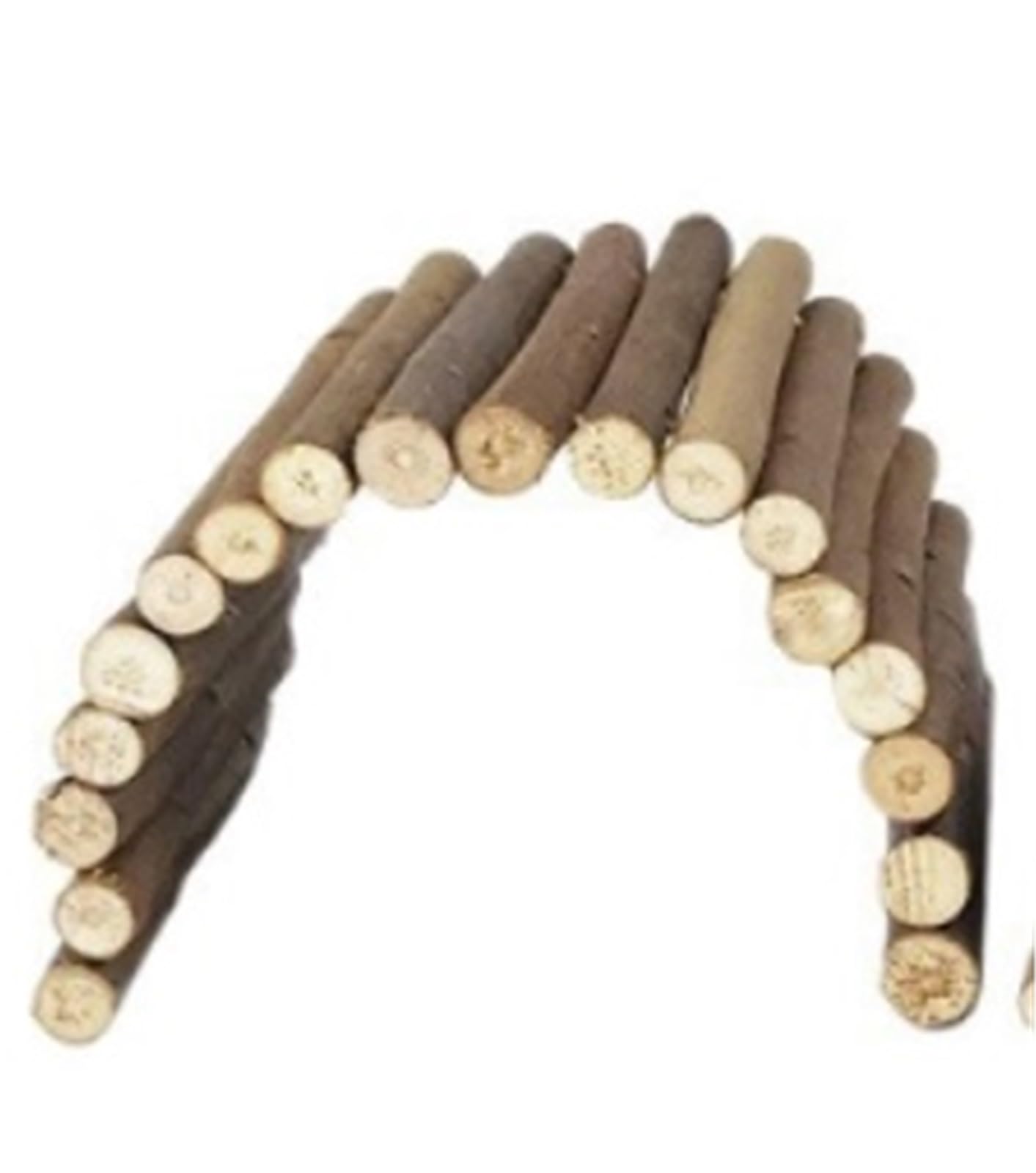 Pont pliable pour lapin, jouet à mâcher en bois saule pour cochon d'inde 30x12