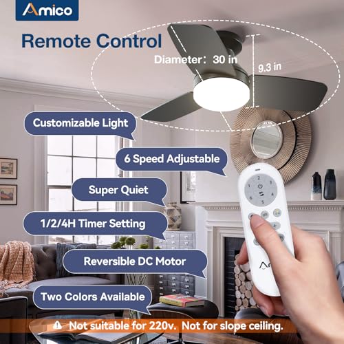 Image of Amico Ceiling Fans with Lights, 30 inch Low Profile Ceiling fan with Light and Remote Control, Flush Mount, Reversible, 3CCT, Dimmable, Noiseless, Black Ceiling Fan for Bedroom, Indoor /Outdoor Use